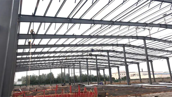 Steel Structure Greenhouse